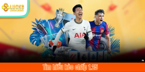 Tìm hiểu kèo chấp 1.25